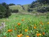 irgendwo in Sizilien im Maerz